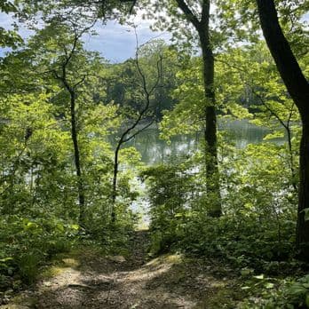 Lakeside Forest Wilderness Area — photo 1 of 6