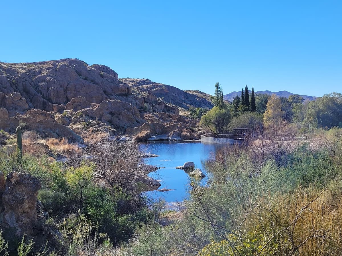 Wallace Desert Garden