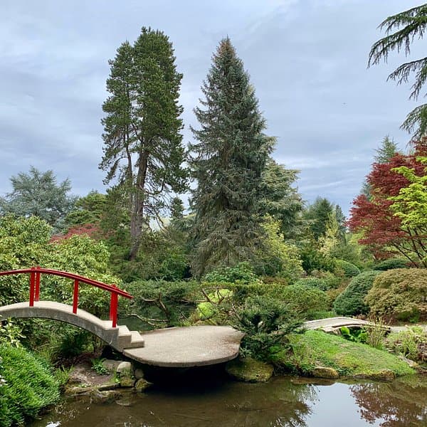 Center for Urban Horticulture