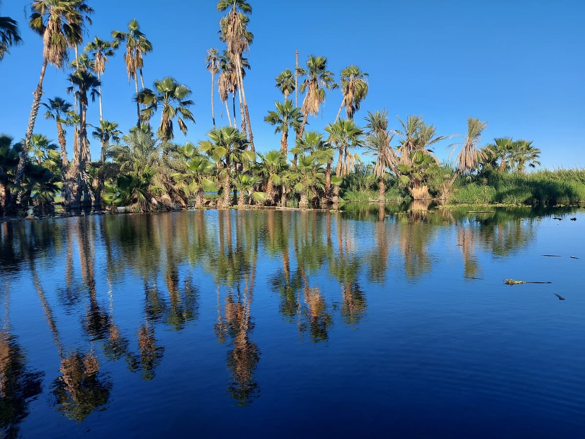 San Jose del Cabo Estuary & Bird Sanctuary, photo 1 of 1