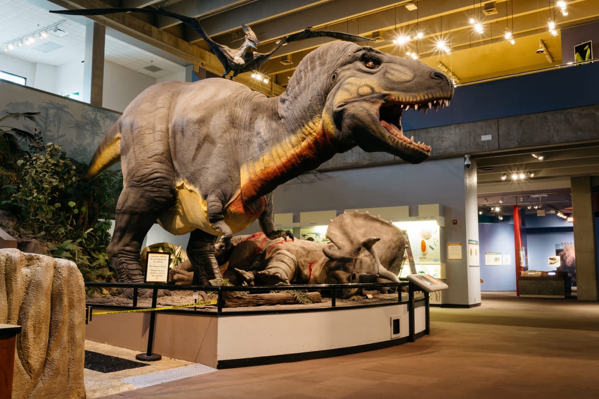 St. Louis Family Itinerary