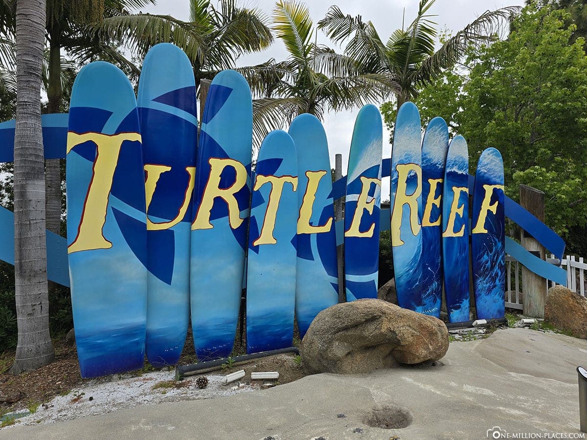 Turtle Reef