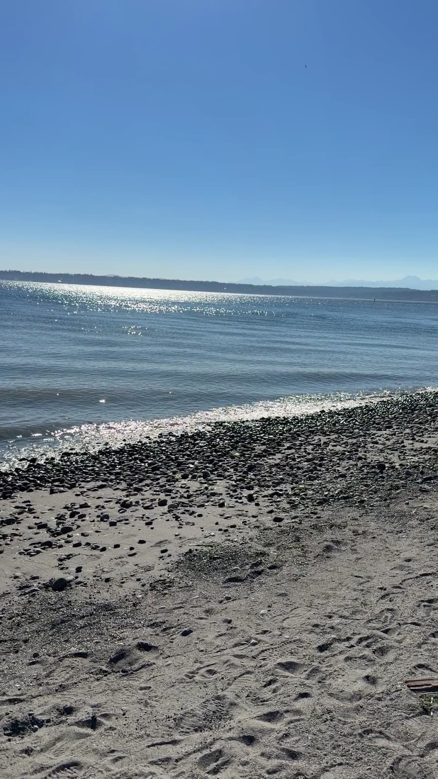 Discovery Park