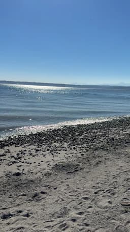 Discovery Park