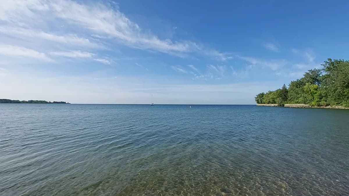 Ward's Island Beach