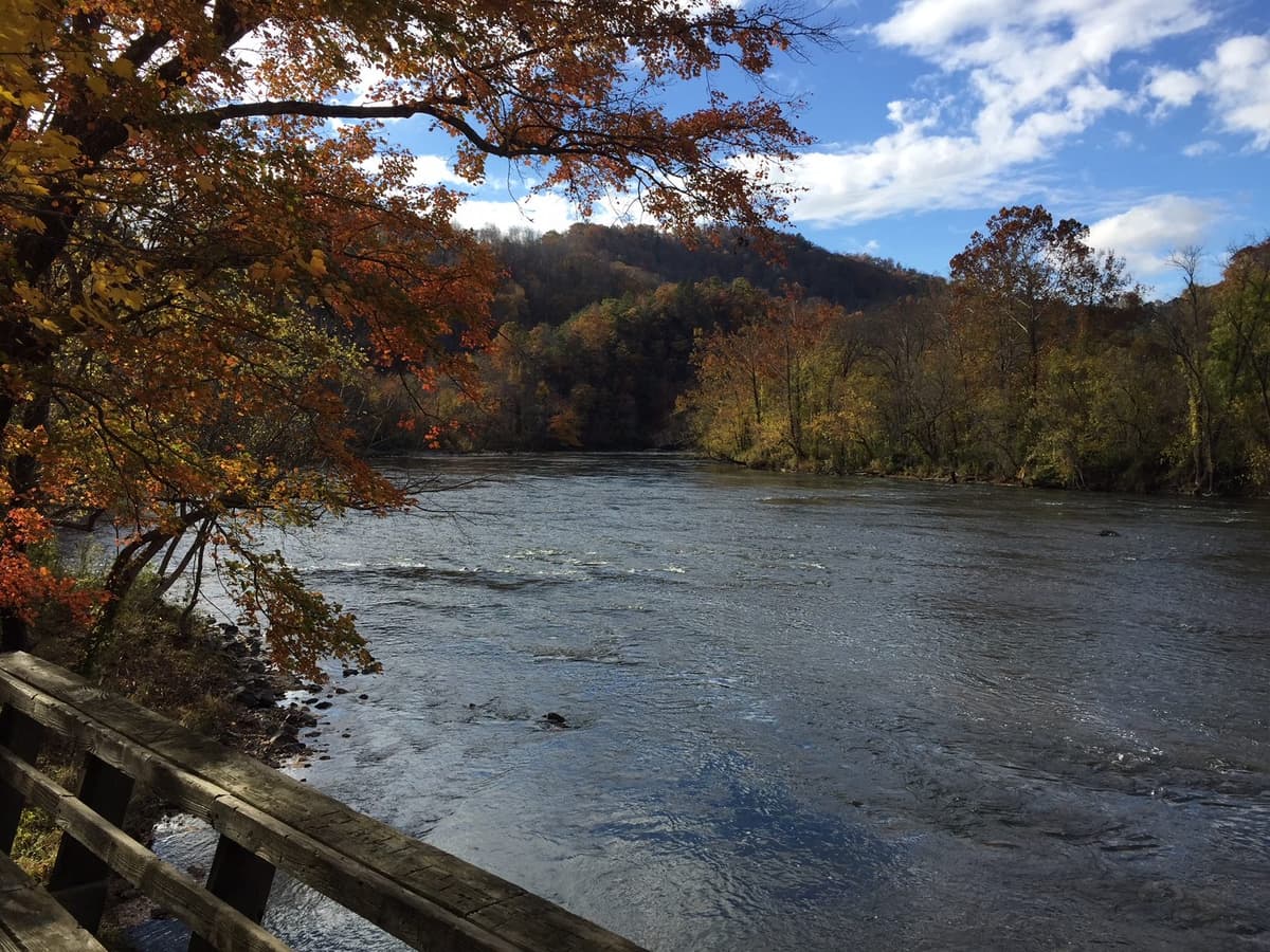 3 Days in Asheville with Kids: The Best Family Itinerary