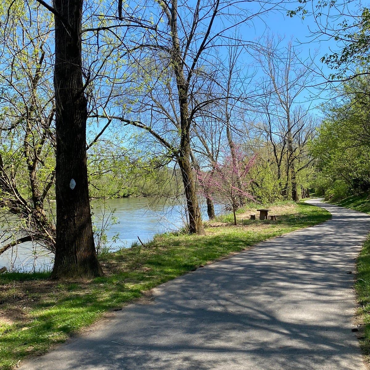 French Broad River Park — photo 1 of 2