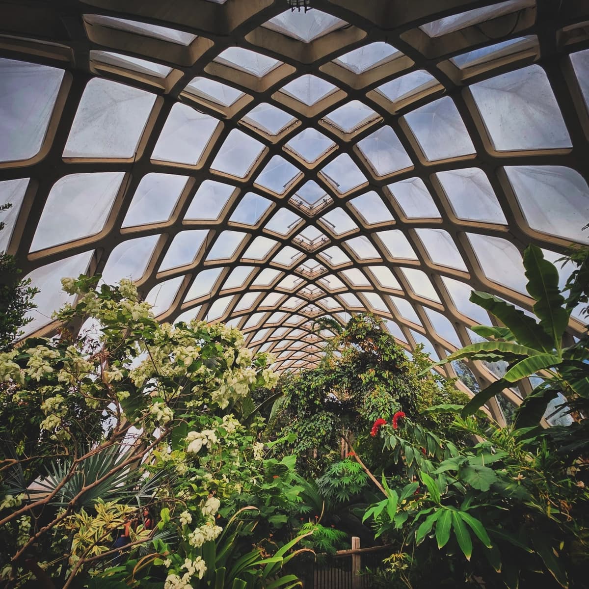 Boettcher Memorial Tropical Conservatory