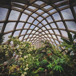 Boettcher Memorial Tropical Conservatory