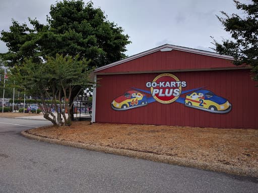 Go-Karts Plus — photo 1 of 6