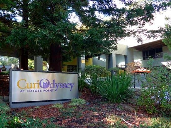 CuriOdyssey — photo 1 of 2