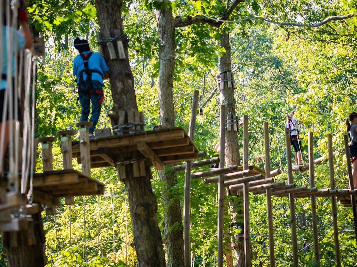 Area 53 - Adventure Park — photo 1 of 6