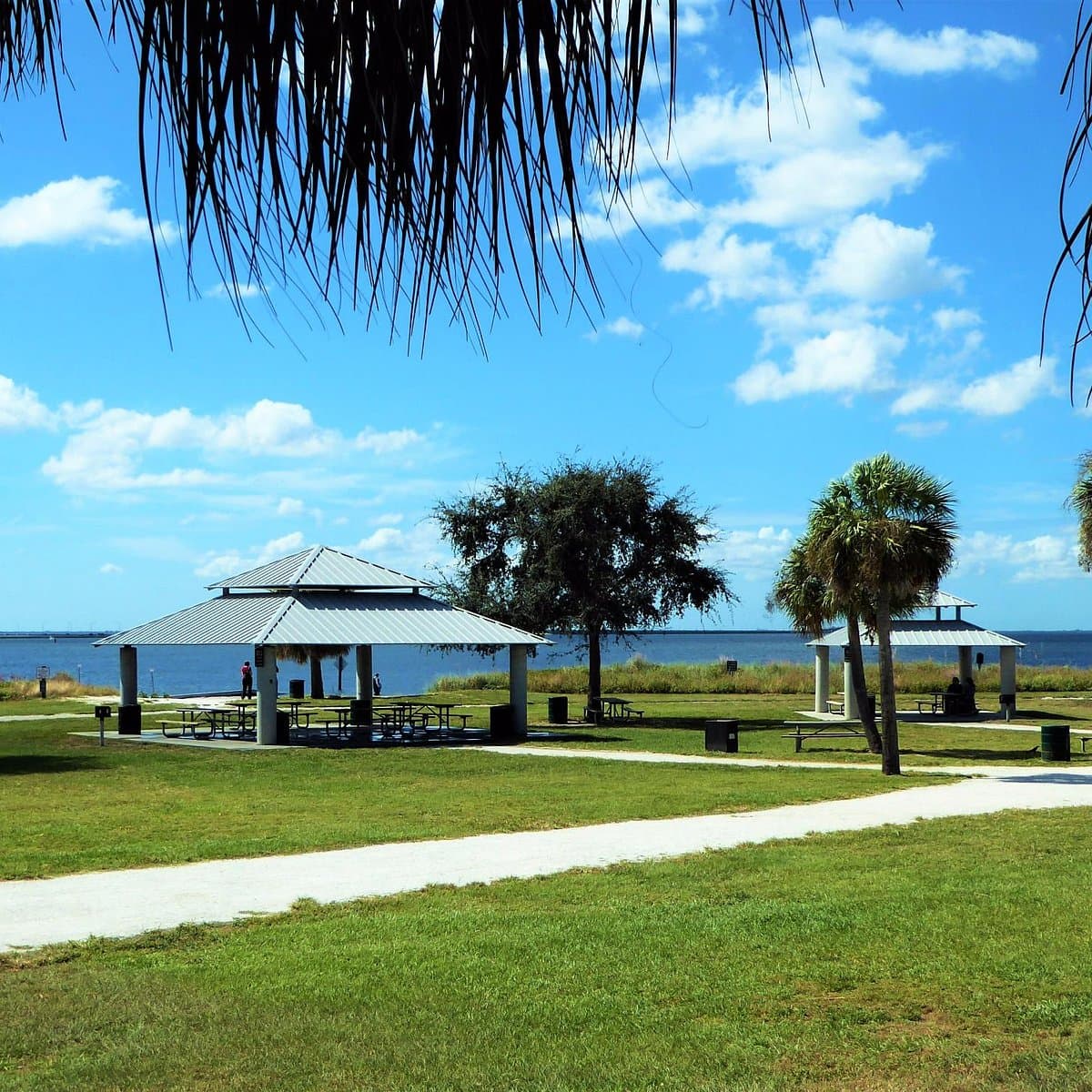 Rainy Day Activities for Families in Tampa