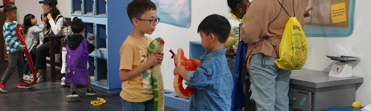 Staten Island Children's Museum