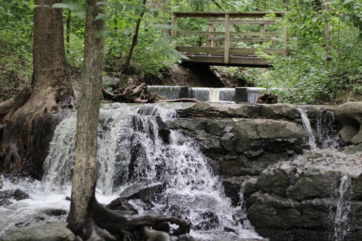 Waterfall Park