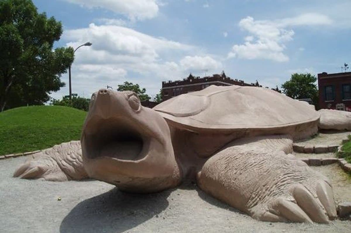 Turtle Playground — photo 1 of 2