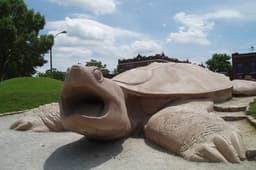 Turtle Playground