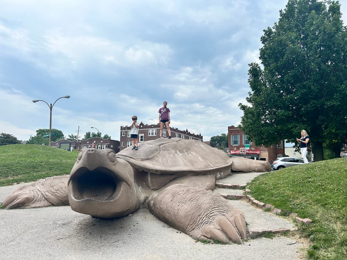 Turtle Playground