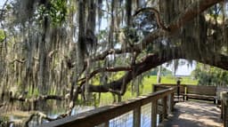 Coastal Discovery Museum