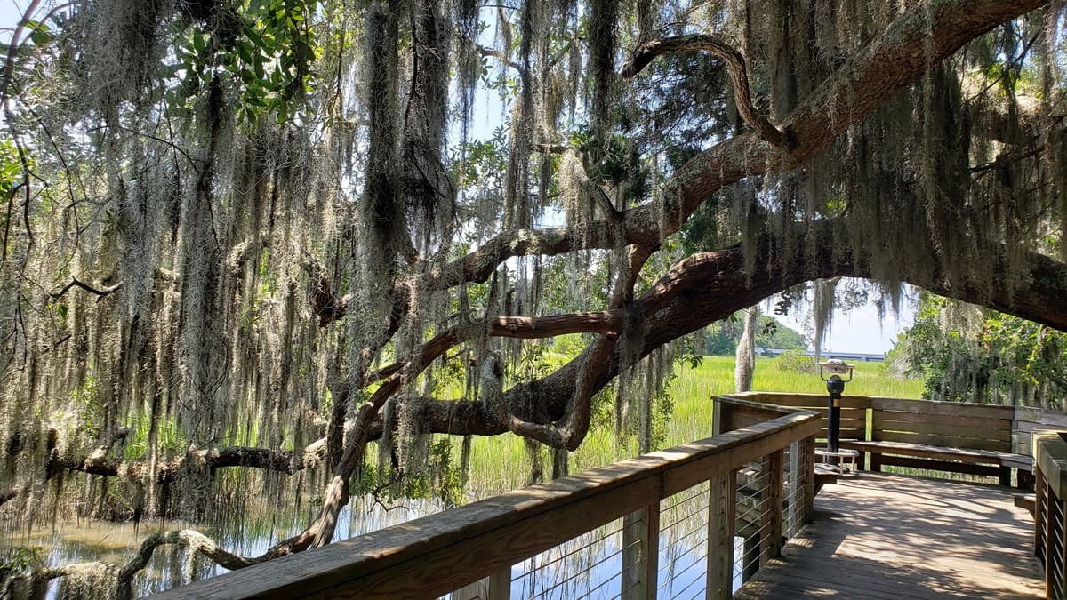 Coastal Discovery Museum