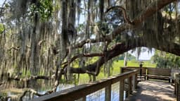 Coastal Discovery Museum