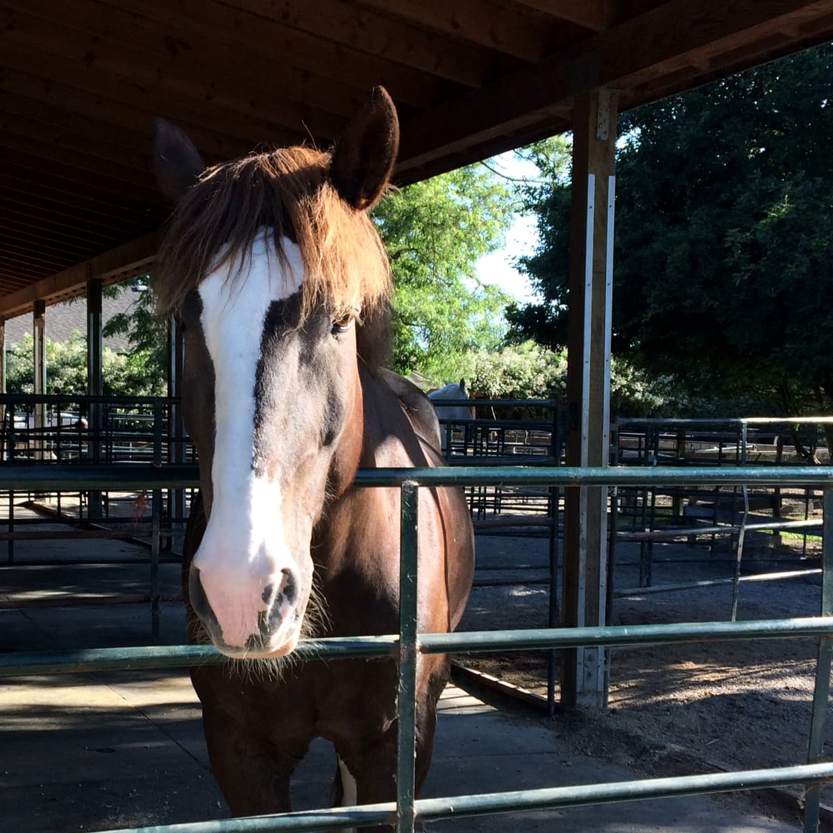Southlands Heritage Farm
