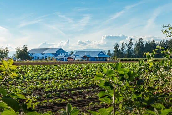 Southlands Heritage Farm