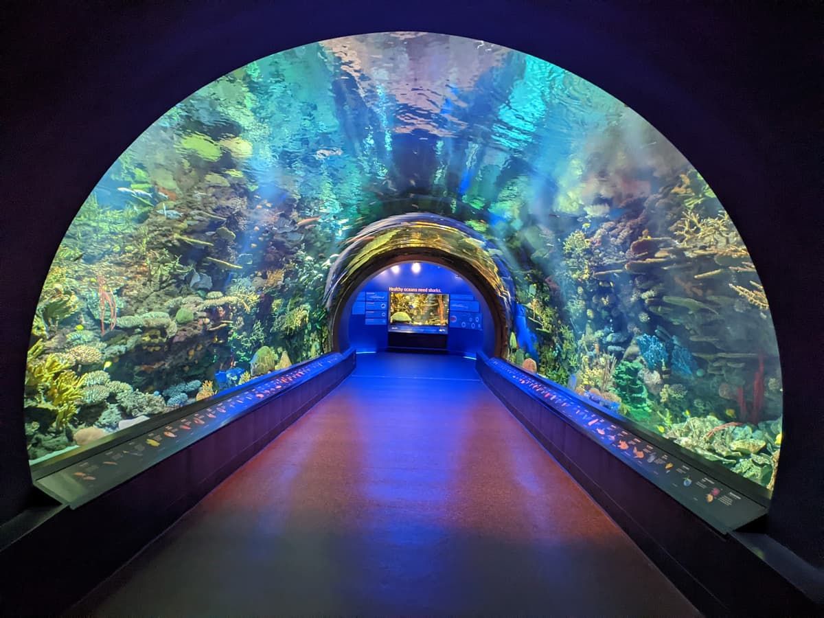 New York Aquarium