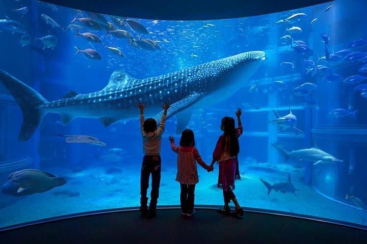 New York Aquarium, photo 1 of 6