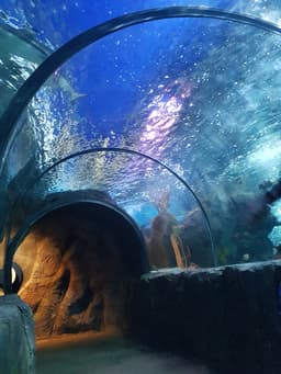 Sea Life Chessington World of Adventures Resort