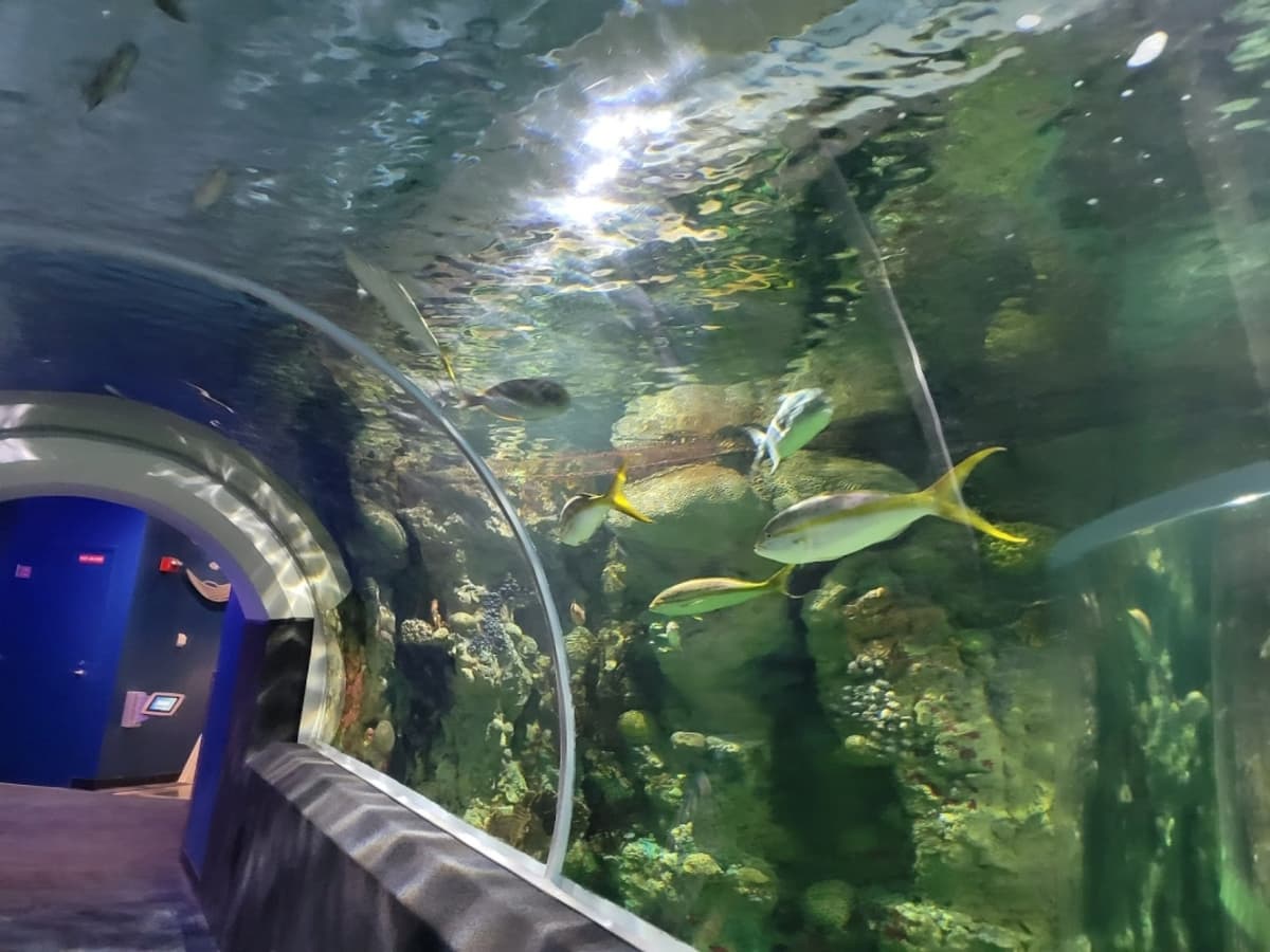 Discovery World's Reiman Aquarium