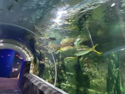 Discovery World's Reiman Aquarium