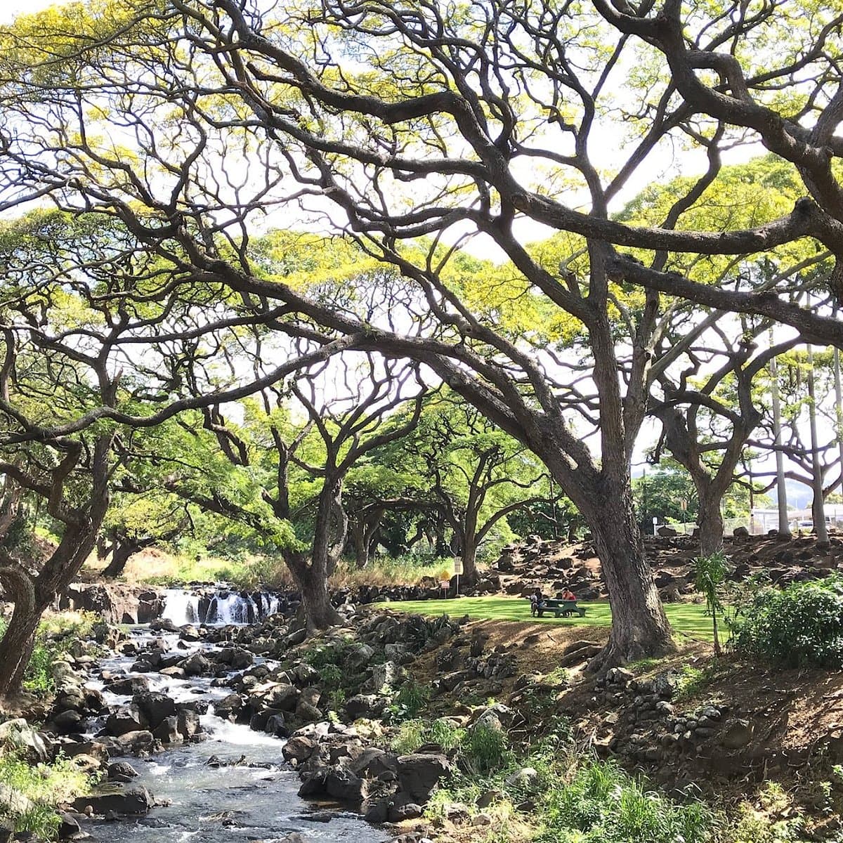 Ho'omaluhia Botanical Garden Visitor Center