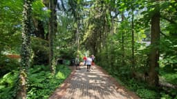 Toronto Island Discovery Tours
