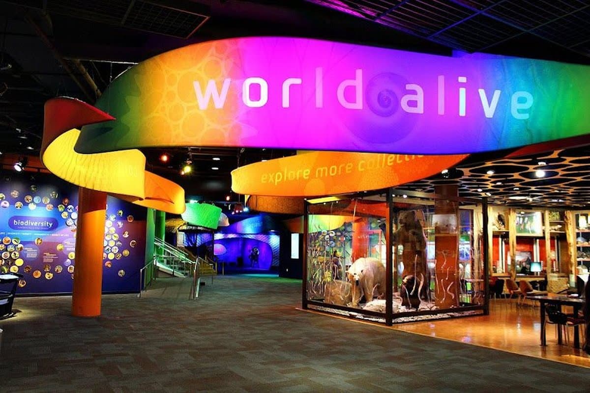 Discovery Place Science — photo 1 of 6