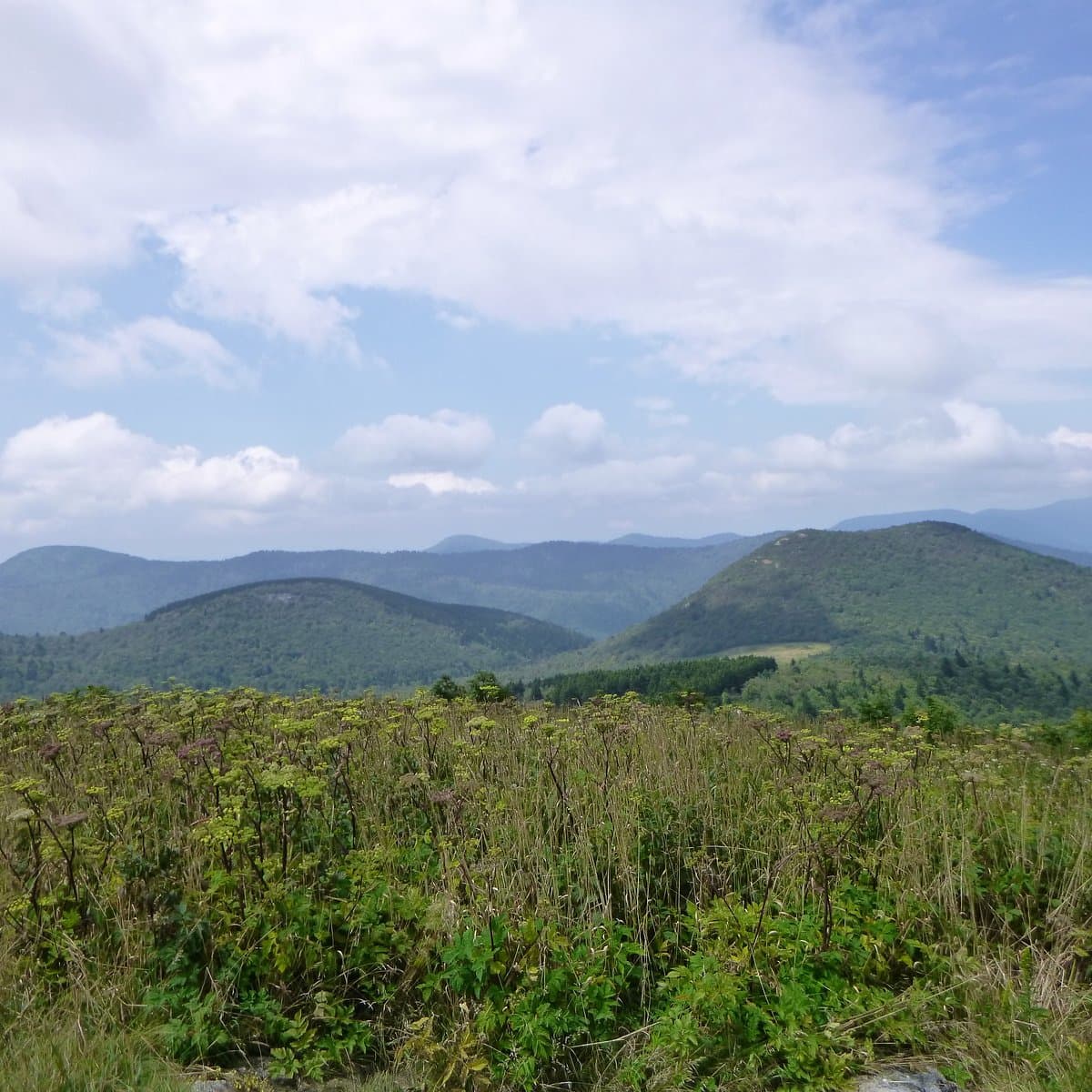 Pisgah National Forest - Black Balsam Knob