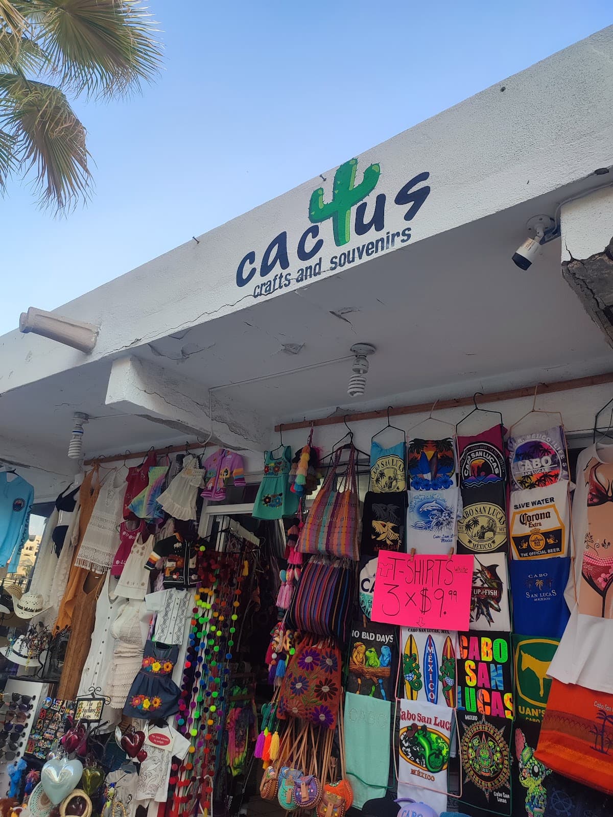 Cactus Crafts and Souvenirs