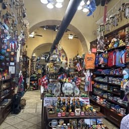 Cactus Crafts and Souvenirs