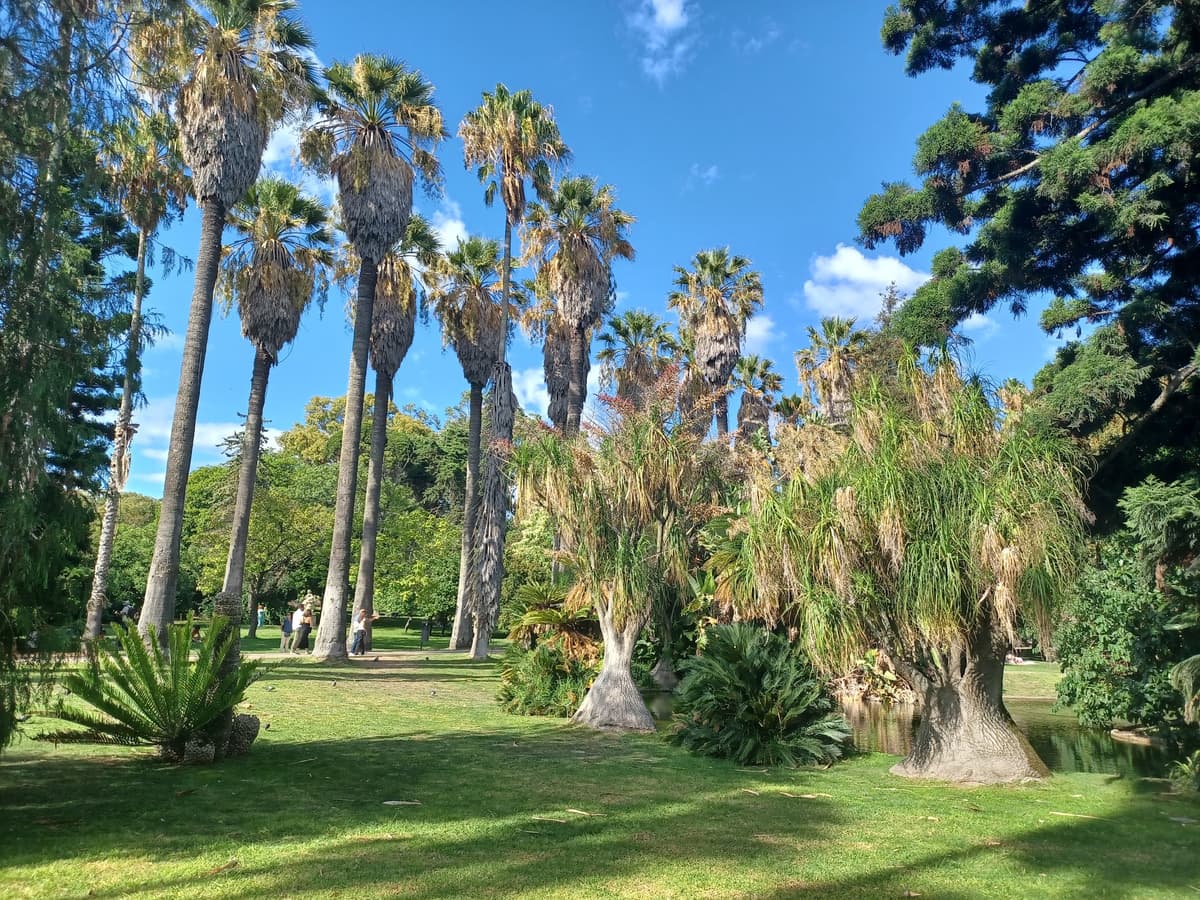 Tropical Botanical Garden