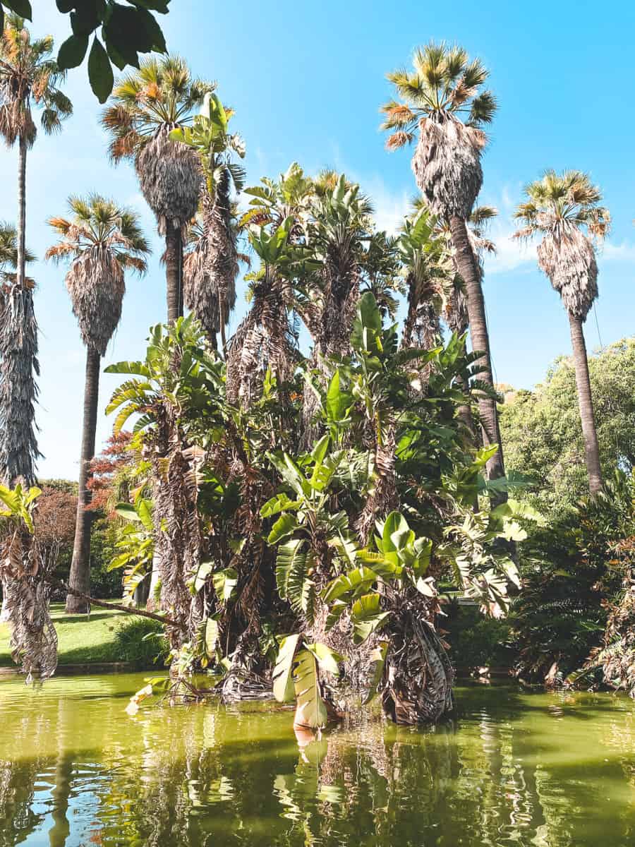 Tropical Botanical Garden