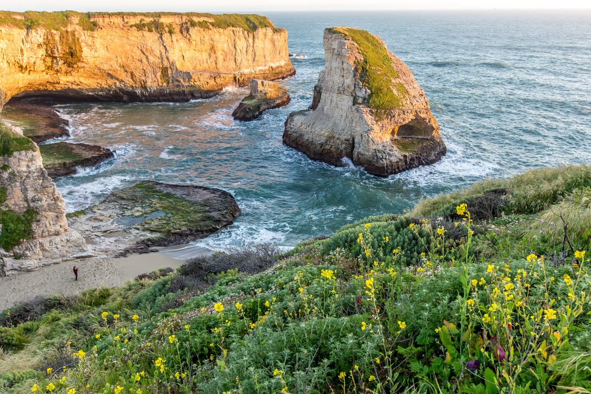 Visit Santa Cruz County