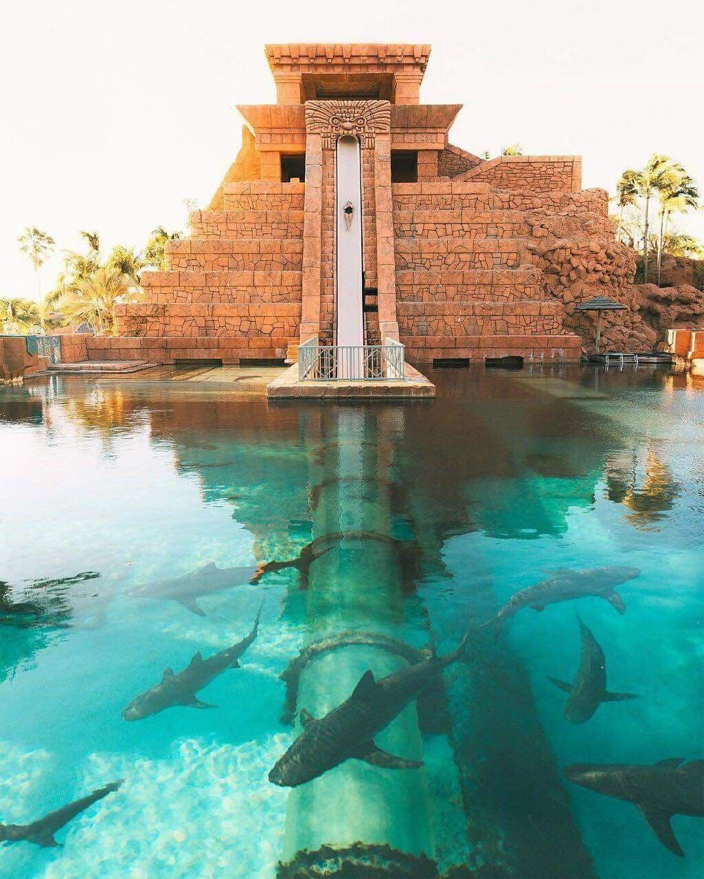 Leap Of Faith