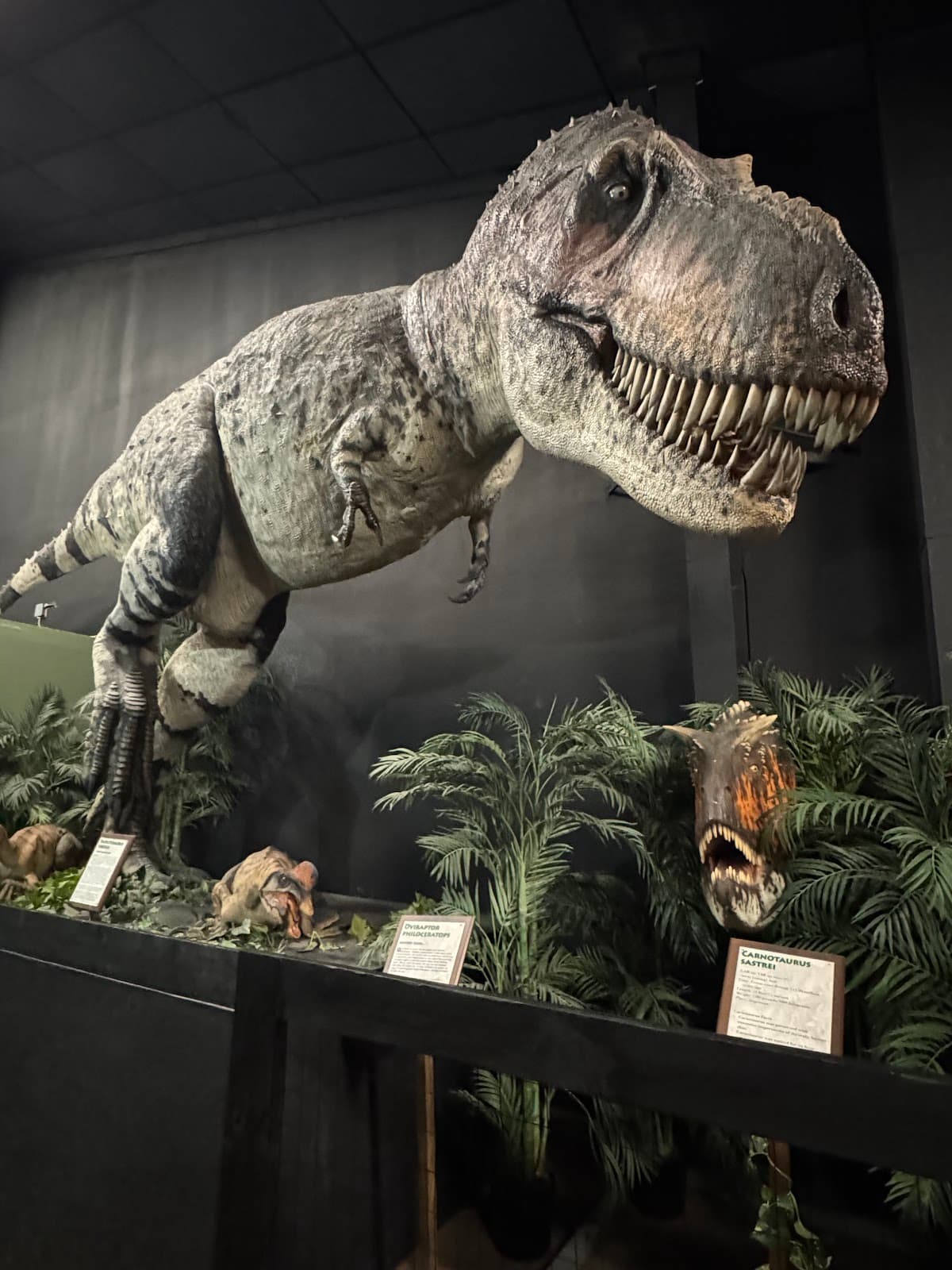 Branson Dinosaur Museum