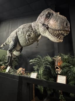Branson Dinosaur Museum