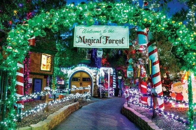 Magical Forest and HallOVeen at Opportunity Village, photo 1 of 2