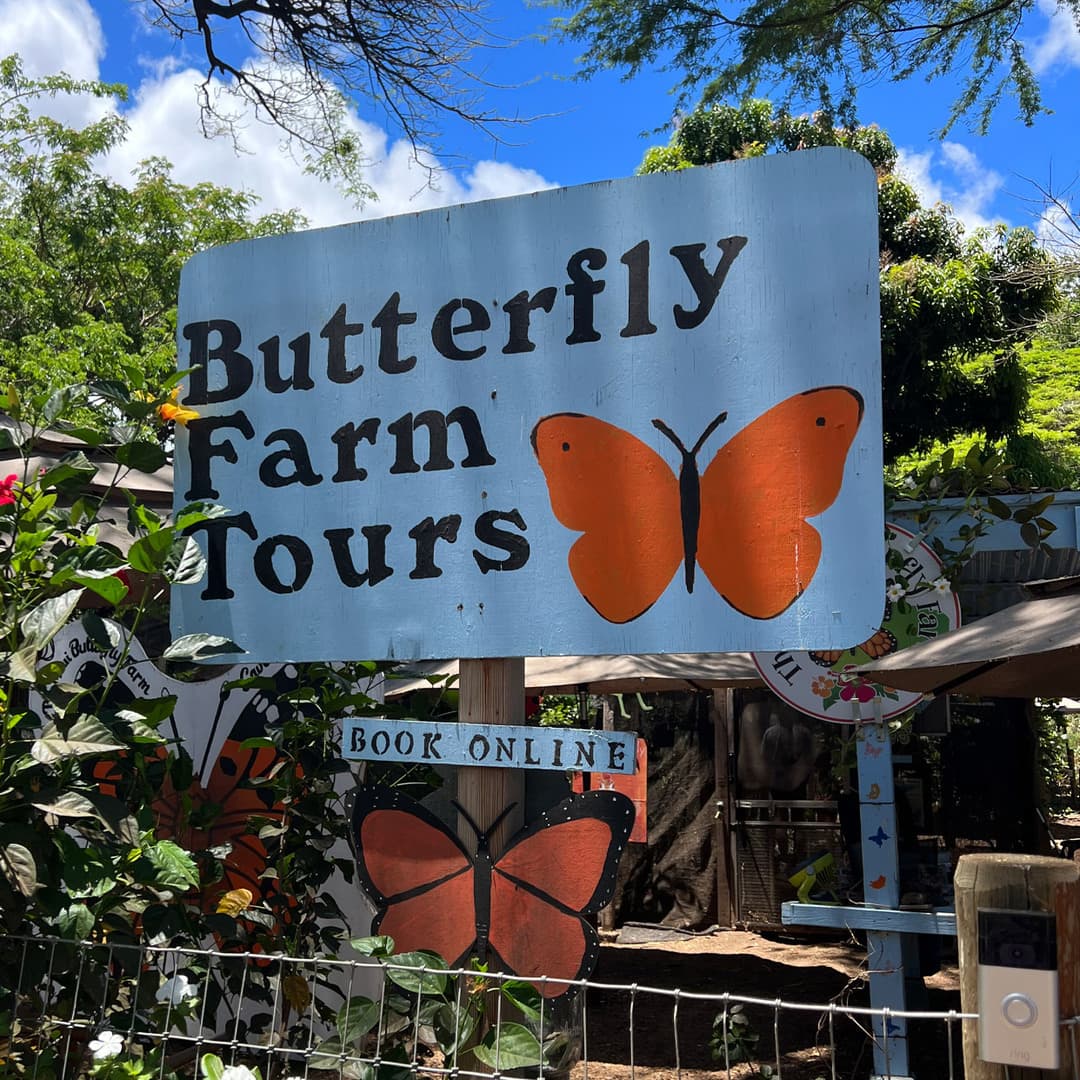 The Maui Butterfly Farm