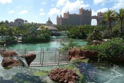Atlantis Marine Habitat & The Dig