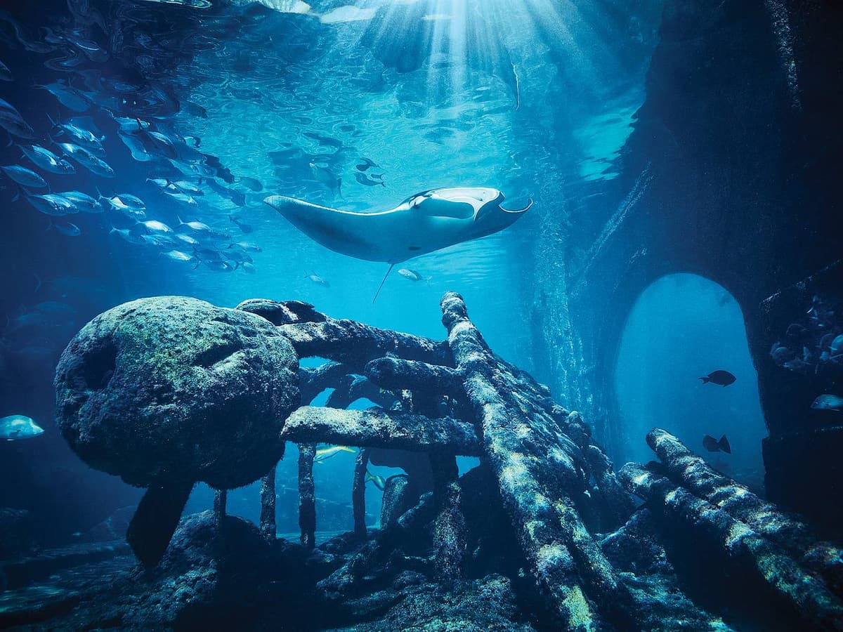 Atlantis Marine Habitat & The Dig