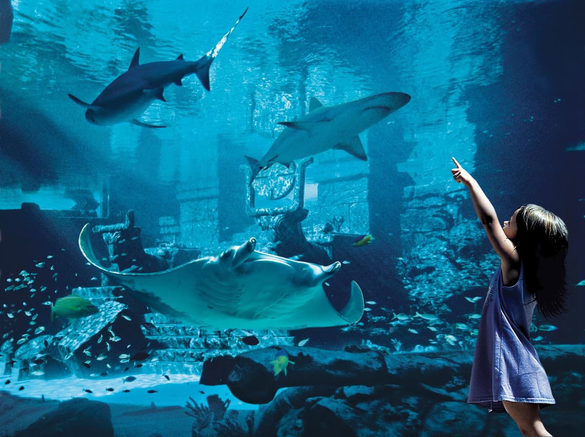 Atlantis Marine Habitat & The Dig