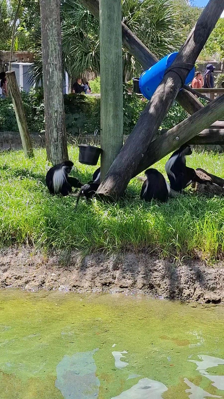 ZooTampa at Lowry Park
